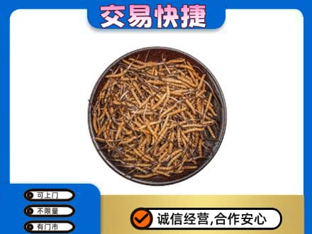 延安市志丹高价回收散虫草